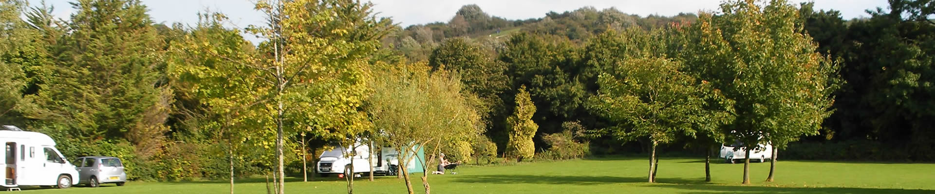 white_mark_farm_site_availability